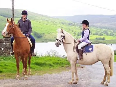 1 Gill Edge Cottages - 2017